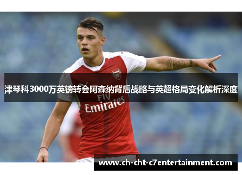 津琴科3000万英镑转会阿森纳背后战略与英超格局变化解析深度