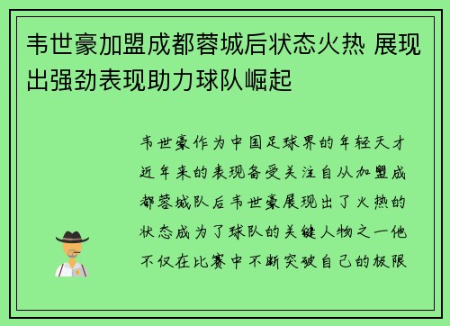 韦世豪加盟成都蓉城后状态火热 展现出强劲表现助力球队崛起